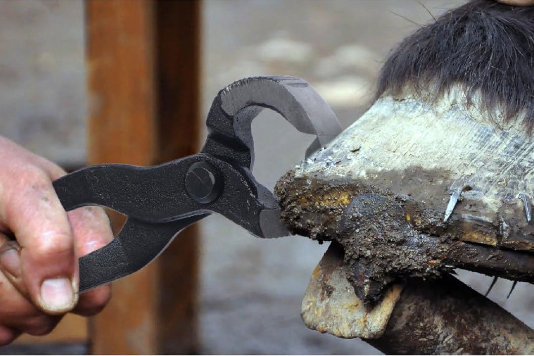 Raw-Hoof-Clincher