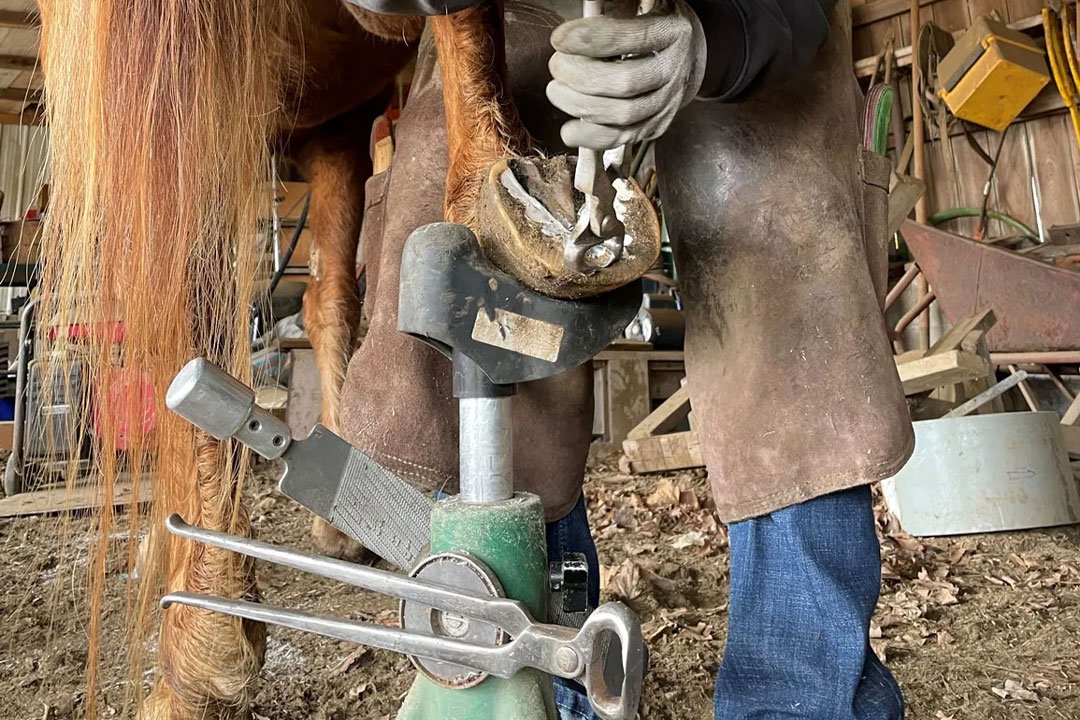 Raw-Hoof-Nipper-(Forging-Process-section)